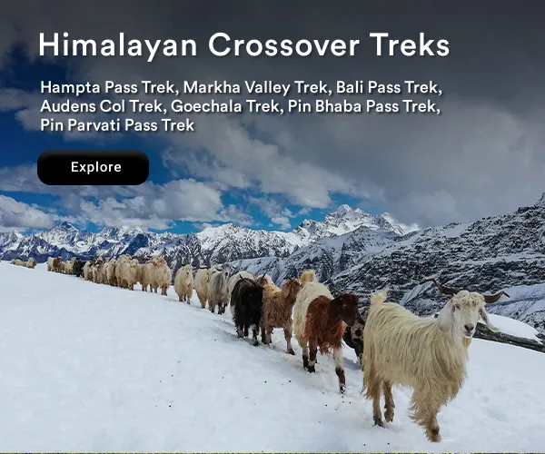 Himalayan-Crossover-banner